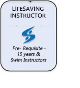 Lifesaving Instructor Courses Upgrade